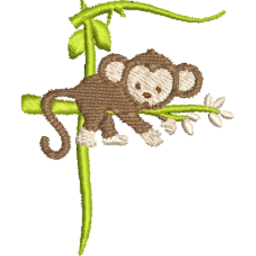 Monkey F