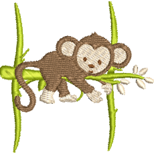 Monkey H