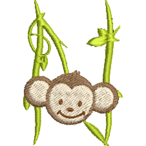 Monkey N