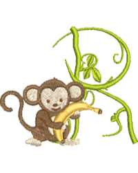Monkey R