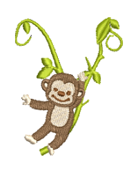 Monkey Y