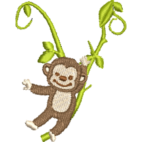 Monkey Y