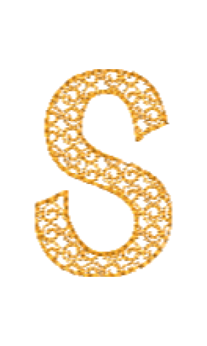 Motif D Font Lower Case S