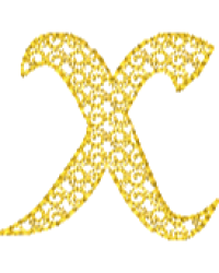 Motif D Font Lower Case X