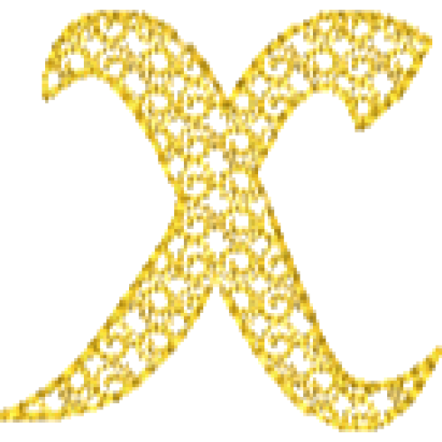 Motif D Font Lower Case X