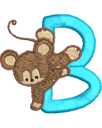 Mouse B