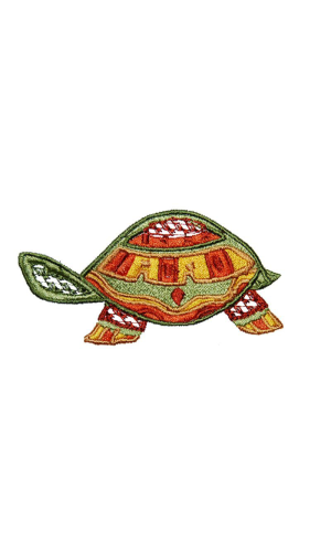 Native Turtle