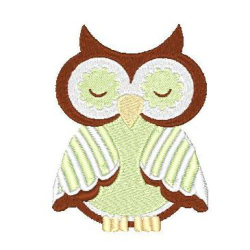 Owl 5
