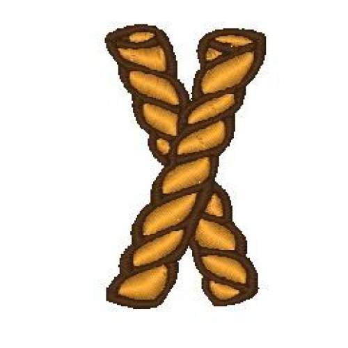 Rope X