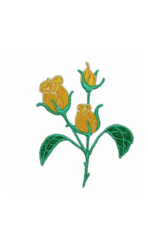 Rose Yellow Rose Yellow