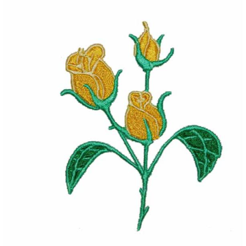 Rose Yellow