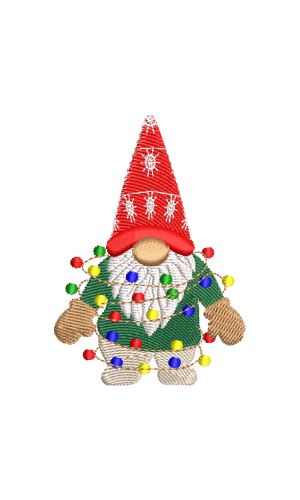 Silly Gnome 1