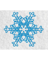 Snowflake 10 Snowflake 10