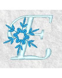 Snowflake E Snowflake E