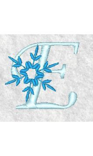 Snowflake E