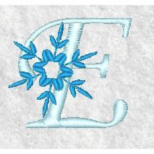Snowflake E