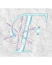 Snowflake F Snowflake F