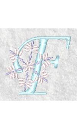 Snowflake F