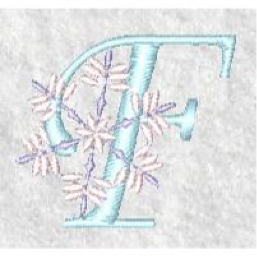 Snowflake F