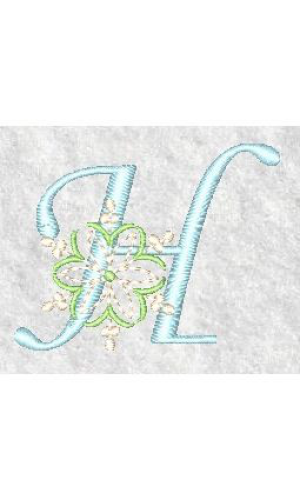 Snowflake H