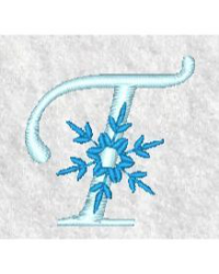 Snowflake T Snowflake T