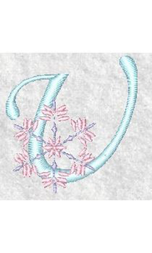 Snowflake U