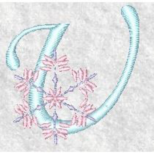 Snowflake U