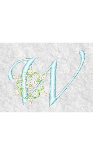 Snowflake W