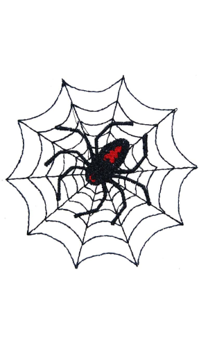 Spider