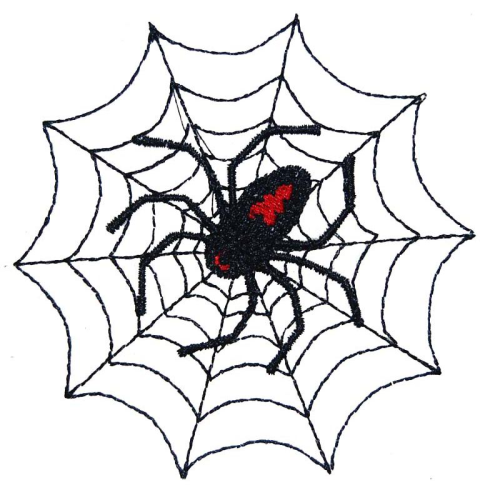 Spider Spider