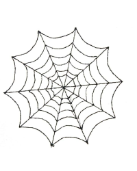 Spider Web