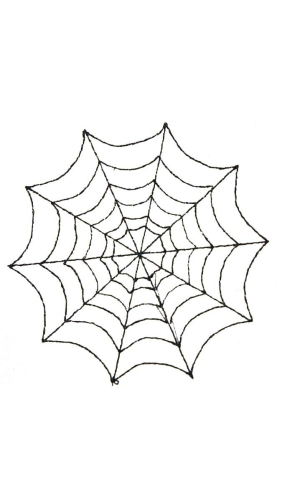 Spider Web