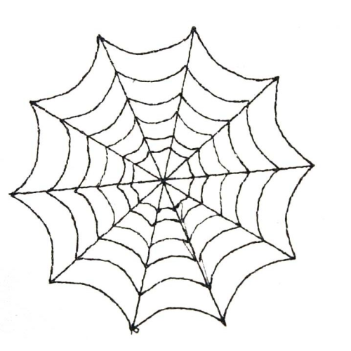 Spider Web Spider Web