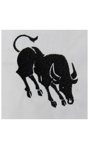 Taurus