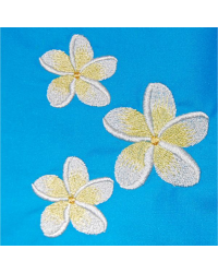 Three Frangipanis