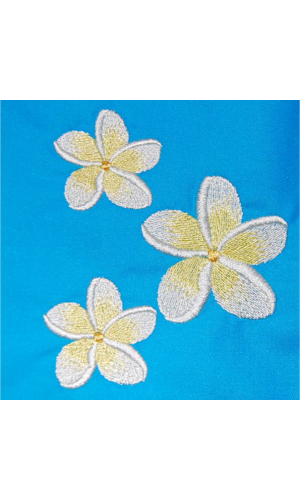 Three Frangipanis