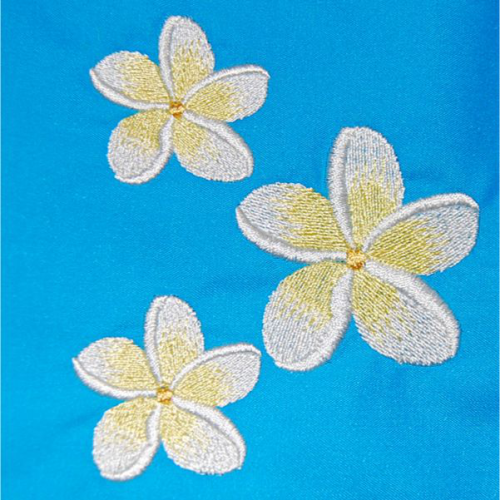 Three Frangipanis