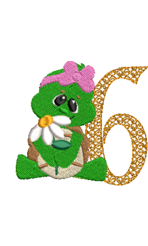 Turtle 6