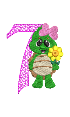 Turtle 7