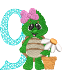 Turtle 9