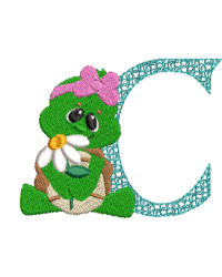 Turtle C