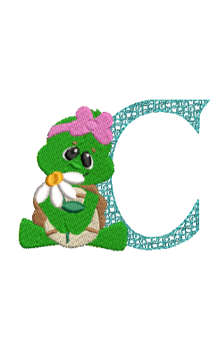 Turtle C