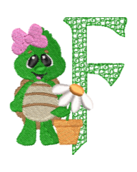 Turtle F