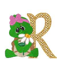 Turtle R