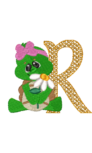 Turtle R