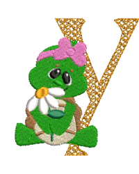 Turtle Y