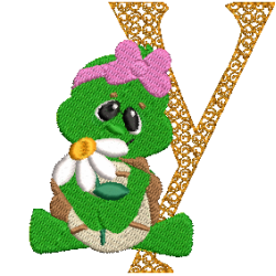 Turtle Y