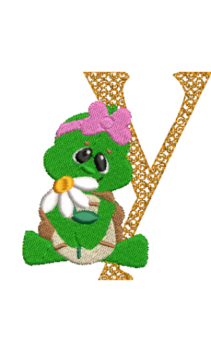 Turtle Y