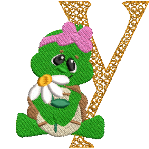 Turtle Y