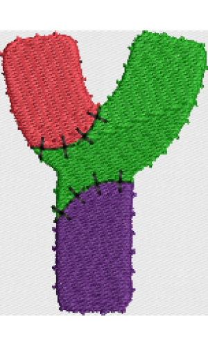 Voodoo Y
